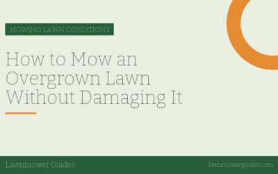 How to Mow an Overgrown Lawn Without Damaging It