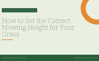 How to Set the Correct Mowing Height for Your Grass